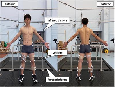 Relationship Between Isokinetic Lower-Limb Joint Strength, Isometric Time Force Characteristics, and Leg-Spring Stiffness in Recreational Runners